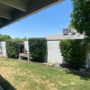 Bush Trimming by MPV Landscaping reviewed on August 18, 2025