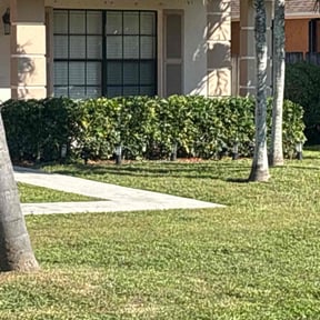 lawn service by Big Rocks Landscaping &amp; Demolition reviewed on November 9, 2017