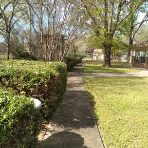 Bush Trimming by Shokdaworld Lawncare reviewed on August 20, 2025