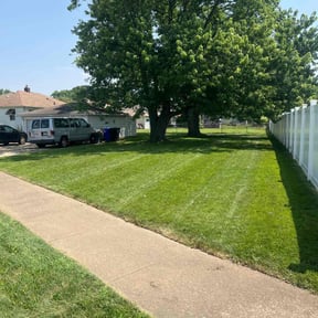 landscape maintenance by Pro Green Landscape L L C reviewed on August 21, 2025