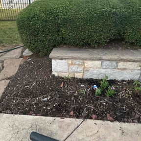 Flower Bed Weeding by Twins lawn care reviewed on November 18, 2025