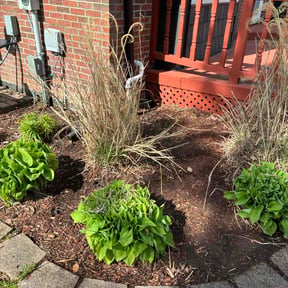 Flower Bed Weeding by North Gaston Lawncare reviewed on May 12, 2026