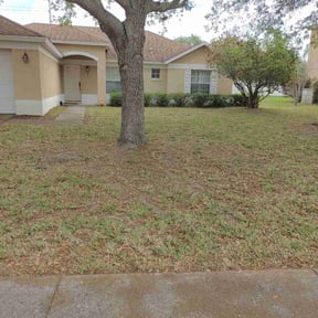 Leaf Removal by Crutchfield’s lawn care reviewed on August 20, 2025