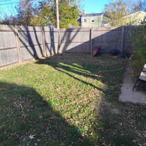 Leaf Removal by Murphys Lawn Care LLC reviewed on November 22, 2025