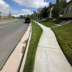 gardening service by Neighborhood Lawn Care reviewed on August 19, 2025