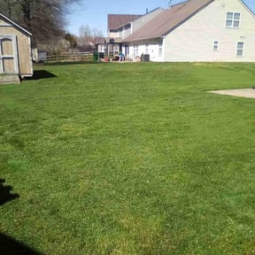 yard work by Bg lawn care reviewed on August 20, 2025