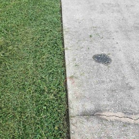 lawn care by Giron Tree Services LLC reviewed on May 5, 2023