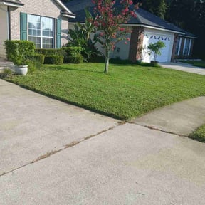 grass cutting by Michael's Lawn Maintenance reviewed on June 1, 2021