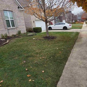 Leaf Removal by 4 Seasons Landscape LLC reviewed on November 24, 2025
