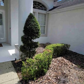 Bush Trimming by Cutters Lawn Care reviewed on August 19, 2025