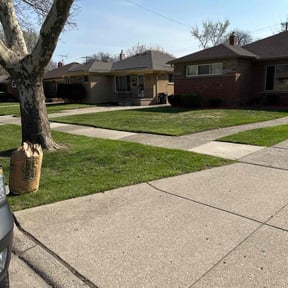 Cleanups by Under the Table Lawn Care Company reviewed on August 21, 2025