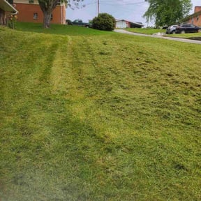 turf care by CCs lawn service LLC reviewed on April 17, 2024