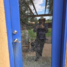 Bush Trimming by All Pro Lawn Maintenance LLC reviewed on May 16, 2022