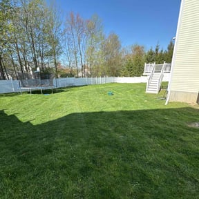 gardening service by Lawn- N -Order reviewed on August 18, 2025