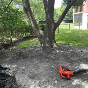 Leaf Removal by K and J Home Services reviewed on September 16, 2025