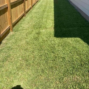 landscaping services by Williams Skilled Task Performance reviewed on November 24, 2025