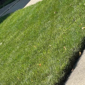 yard work by T.R. Integrated Services reviewed on August 19, 2025