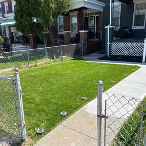 grass maintenance by Anthony Haggard Yard Pro reviewed on October 7, 2023