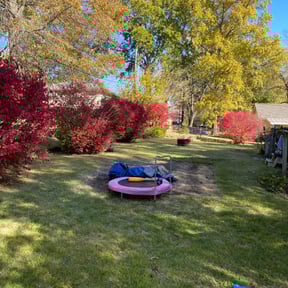 Leaf Removal by A.P. Lawn & Handyman Services reviewed on August 15, 2025