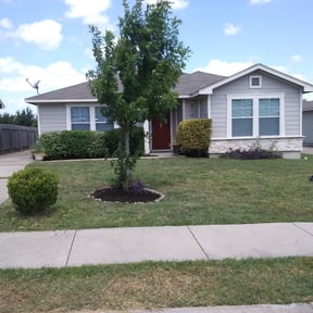 Bush Trimming by GSE Lawn Care reviewed on August 18, 2025