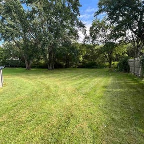 turf maintenance by All You Need  reviewed on August 18, 2025