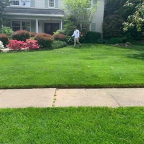 landscape maintenance by Livery Services LTD, llc reviewed on August 13, 2025