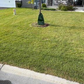 lawn care services by IPR LLC reviewed on March 30, 2024