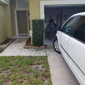 Bush Trimming by E&amp;T Cleaning and Lawncare Services reviewed on August 20, 2025