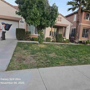 Bush Trimming by Allen Investments reviewed on October 18, 2025