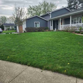 yard service by EZGO Lawn Services LLC reviewed on August 15, 2025