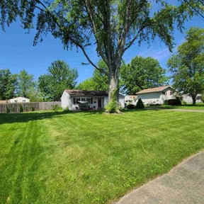 yard work by MTD Lawncare &amp; Maintenance reviewed on November 23, 2025