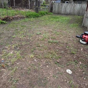 Leaf Removal by Rockmon landscape care reviewed on July 27, 2026