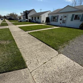 yard care by American Quality landscaping reviewed on August 21, 2025