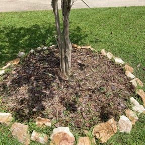Flower Bed Weeding by The customer first reviewed on August 15, 2025