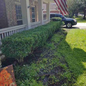 Bush Trimming by Evan&#039;s Lawncare reviewed on November 9, 2025