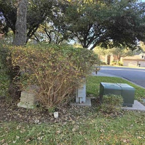 Bush Trimming by Backwood land management reviewed on August 19, 2025