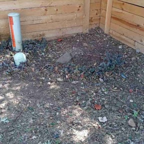 Bush Trimming by Ta&#039;Lanie Lawn Care reviewed on October 23, 2025