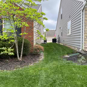 yard maintenance by Smith Solves Situations LLC reviewed on August 23, 2023