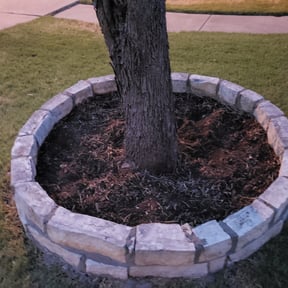 Flower Bed Weeding by Guillen Lawn Care reviewed on March 25, 2025