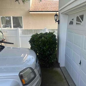 Bush Trimming by Arreola’s Lawn Services reviewed on August 23, 2026