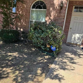 Bush Trimming by Landsk8pe Tech’s reviewed on November 9, 2025