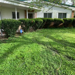 Bush Trimming by Graves landscaping reviewed on August 20, 2025