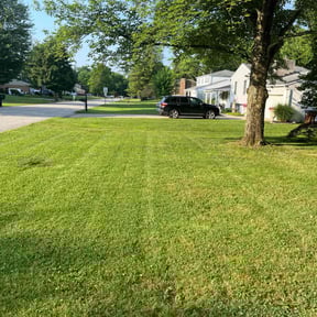 yard care by Reel Mowers reviewed on August 19, 2025