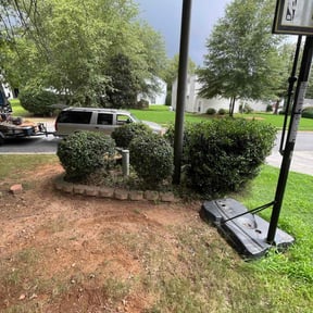 Bush Trimming by All season landscaping reviewed on August 16, 2025
