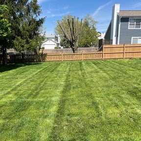 yard work by Lawns and more reviewed on November 23, 2025