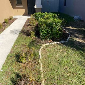 Bush Trimming by Legacy Solutiins reviewed on February 26, 2026