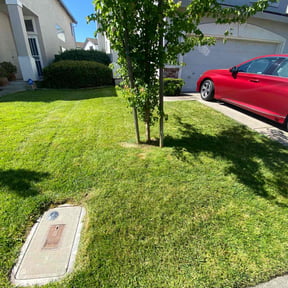 yard work by Joshua's landscaping reviewed on November 23, 2025