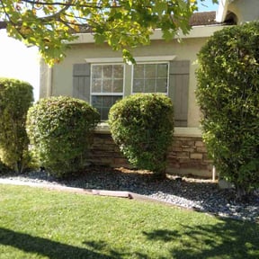 Bush Trimming by CadeAndKids LLC reviewed on November 19, 2025