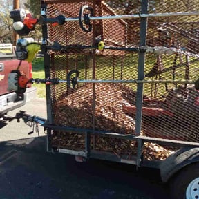 Leaf Removal by Hugheslandscaping reviewed on September 19, 2025