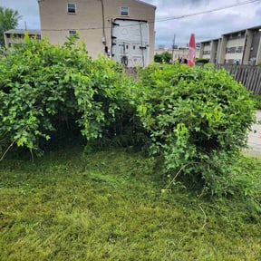 Bush Trimming by MB Lawn Barbers reviewed on August 16, 2025